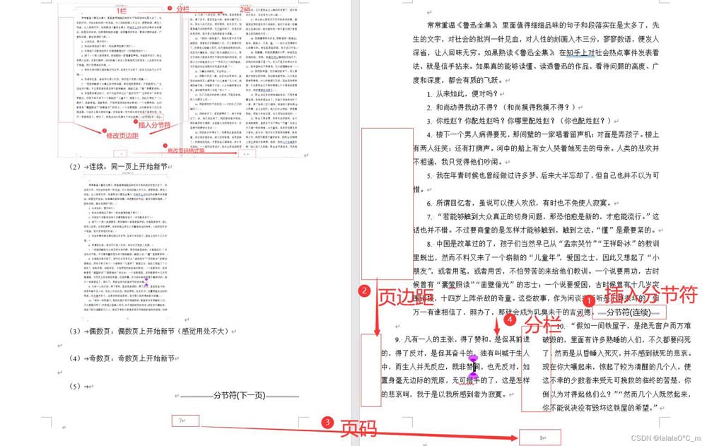 word文档如何使用分页符和分节符? 分节符和分页符的区别和作用 第48张