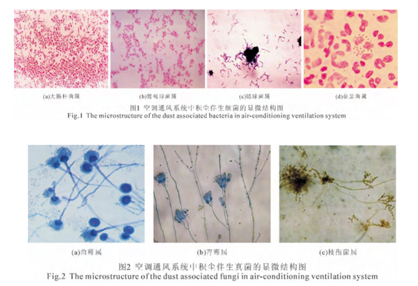 夏天吹空调 缺了这一步 真的容易吹出病！ 第2张