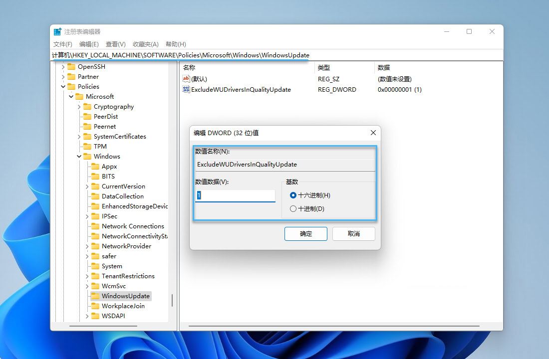 win11怎么禁止Windows Update 自动更新驱动程序？ 第5张