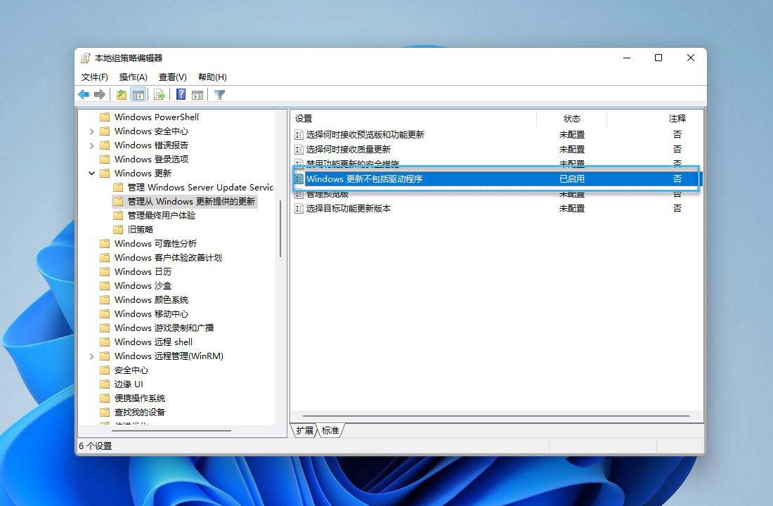 win11怎么禁止Windows Update 自动更新驱动程序？ 第4张