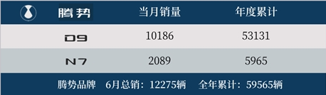 比亚迪6月狂卖超34万辆 不过这款车销量为0 第2张