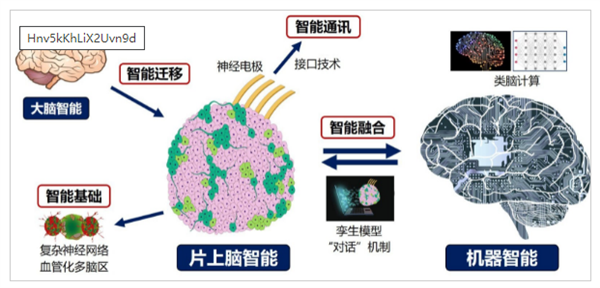 重磅研究！中国首创人脑驱动机器人 第2张