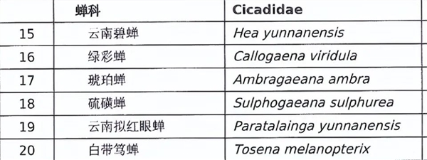 甘肃37人抓野蝎子被捕 缴获2.1万只价值20多万 捉蝎子也违法？ 第5张