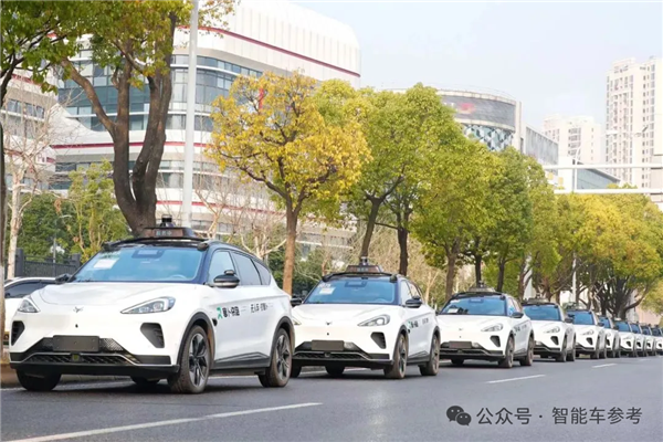 Robotaxi被曝跳票 特斯拉市值一夜暴跌超5000亿 第9张