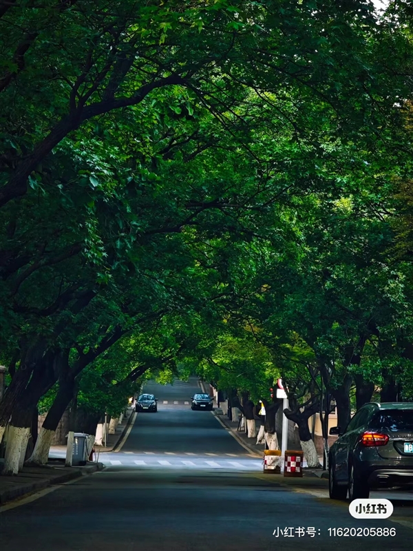 沈腾新作《抓娃娃》的西虹市藏在青岛：八大关、里院看你去过几个 第3张