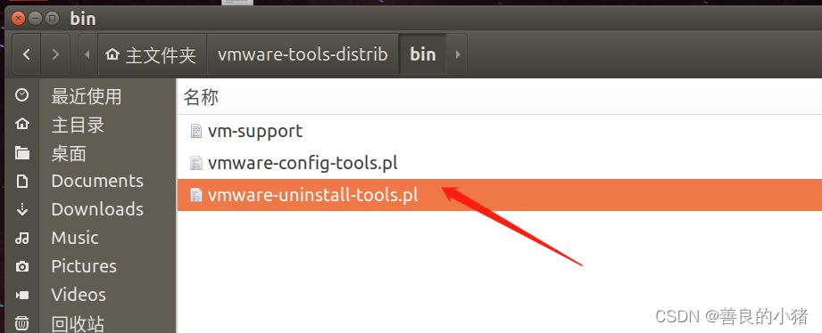 Ubuntu中VMware安装tools之后无法复制粘贴和拷贝怎么解决? 第4张