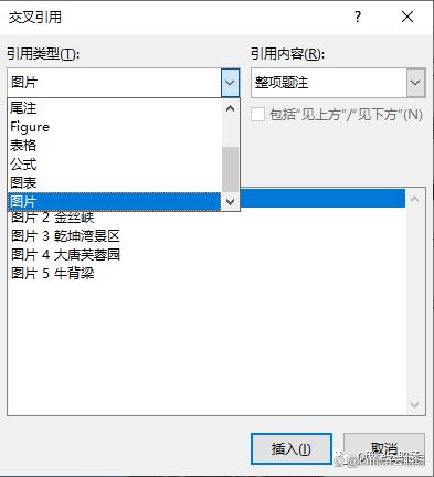 word交叉引用在哪? word文档设置交叉引用的方法 第13张