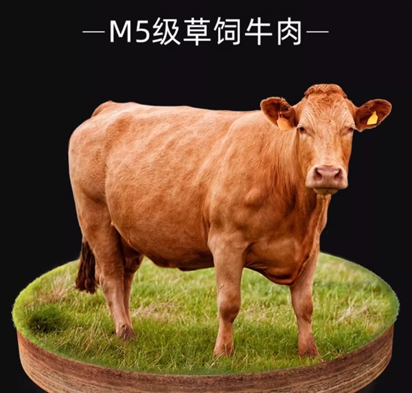 M5级草饲牛肉：祥泰丰黑椒牛柳预制菜160g*10包到手24.9元 第2张