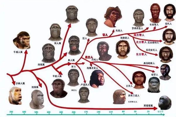 人类为什么能够在进化中胜出：是必然还是偶然？ 第7张