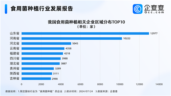 云南“采菌子游”火了！食用菌种植企业云南只排第四 第2张