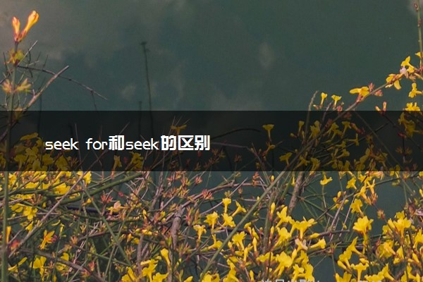 seek for和seek的区别(seek和seekfor的用法)