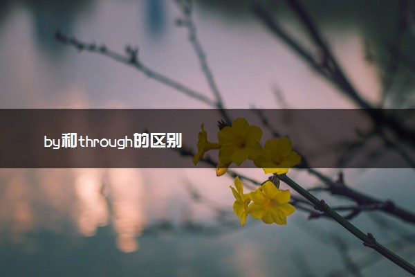 by和through的区别(by和 through)