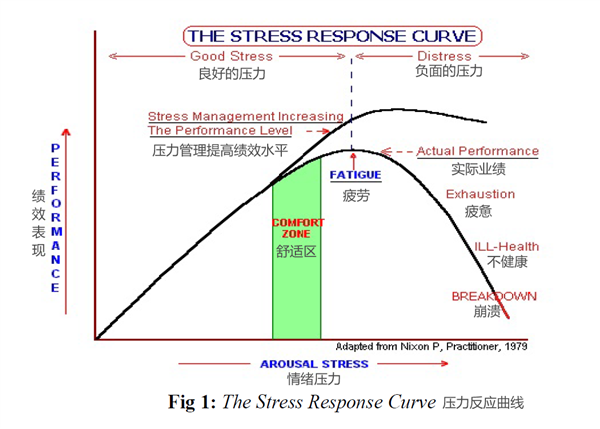 奥运乒乓王楚钦爆冷出局：跟换球拍到底有没有关系？ 第4张