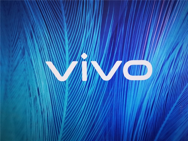 vivo X200系列将推出小屏版：6.3英寸mini屏幕 电池容量不降反升 第2张