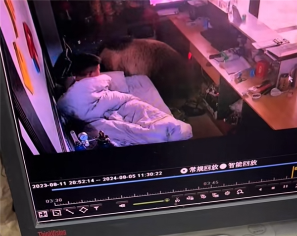 男子凌晨睁眼床边站了一头熊 逃跑不忘拿手机 网友：情绪稳定 第3张