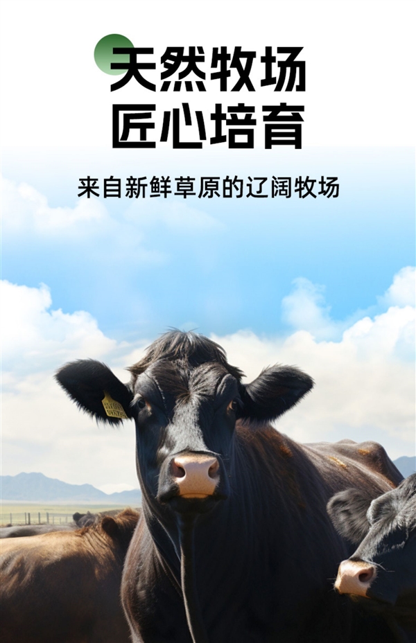 100%纯牛肉：牧鲜原味牛肉饼10片39元大促（原价99元） 第7张