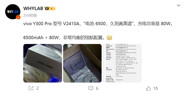 vivo Y300 Pro即将发布：80W快充+6500mAh大电池 第1张