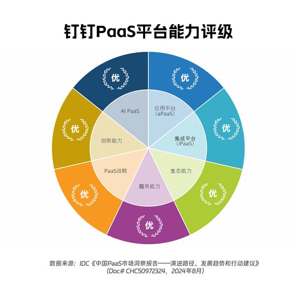  钉钉入选IDC首份《中国PaaS市场洞察报告》 第1张