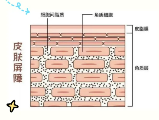 为什么洗完澡 感觉自己变好看了？四大原因 第2张