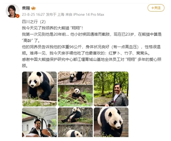 中国首只截肢大熊猫“戴立”离世！死因公布：年老伴随心脏病变 第3张