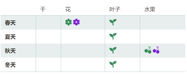 八月瓜上市！通便、维生素C含量高：很多人可能第一次见 第2张