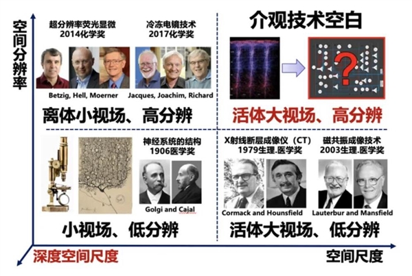 “看穿”大脑！我国科学家“上新”超级显微镜 第3张