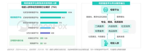 母婴行业发展趋势洞察报告——人口新形势下 互联网母婴市场迎来发展新机遇 第9张