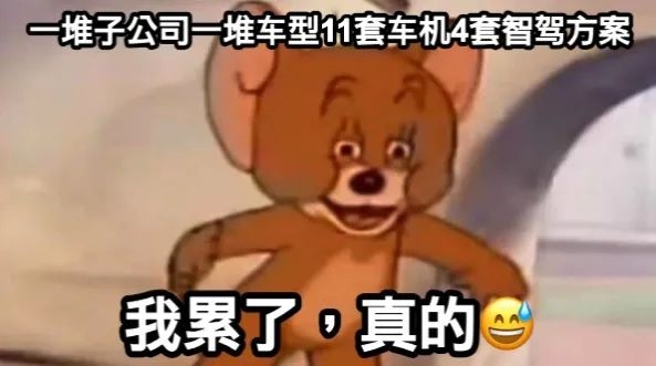 堪称“超生游击队”的吉利 为啥常常会痛击自己人？ 第14张