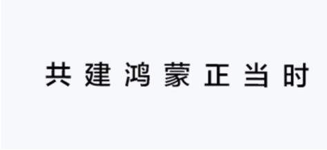 鸿蒙誓师大会：钉钉与华为持续深化合作探索办公应用更多可能 第2张