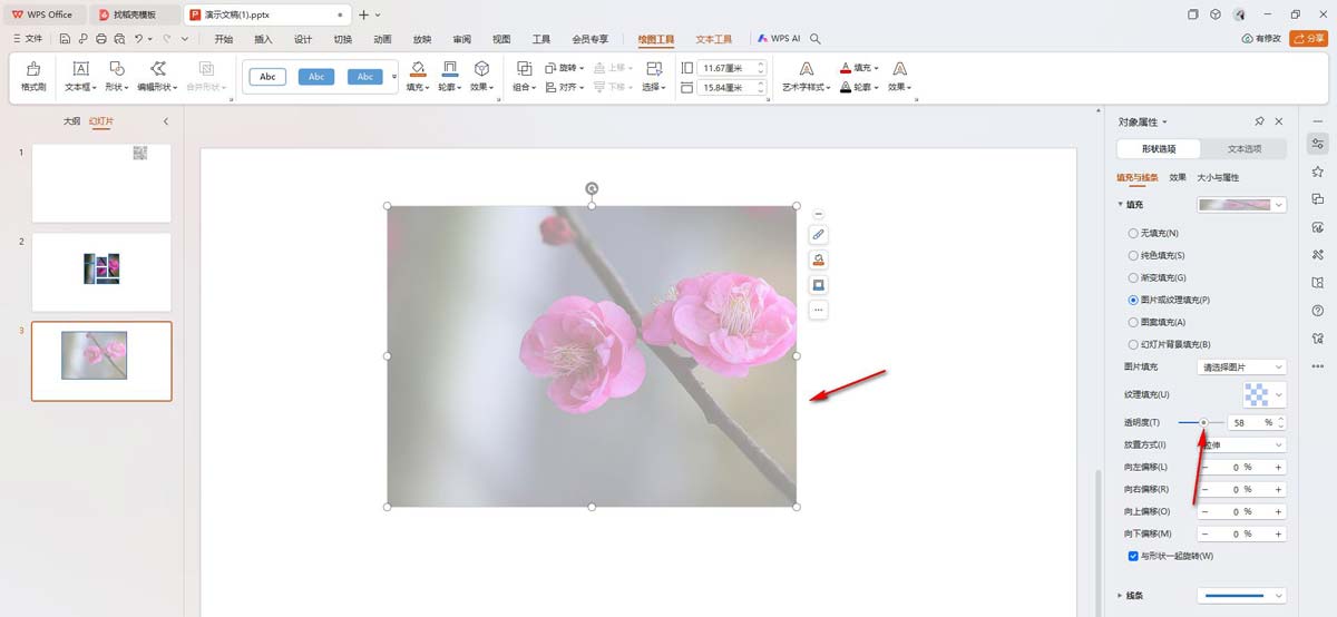WPS PPT演示稿怎么调图片透明度? wps设置图片透明度的技巧 第6张