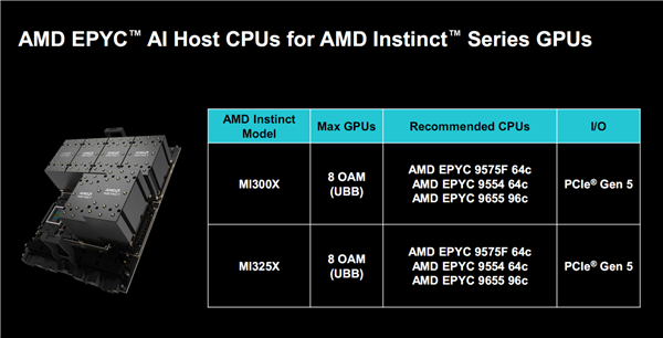 AMD正式发布Zen5/5c架构EPYC 9005：384线程5GHz无敌！4倍性能碾压对手 第19张