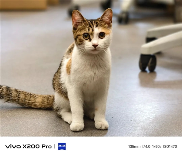 用了几天vivo X200 Pro：我感觉友商压力有点大啊 第27张