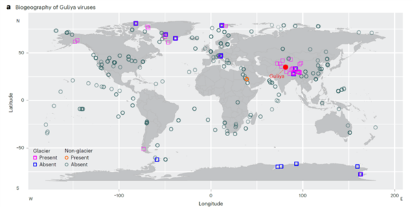 古里雅冰川中发现超过1700种古病毒：它们对人体有威胁吗 第2张