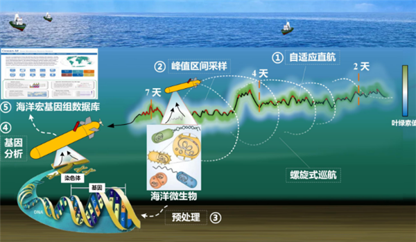 我国首台！深海微生物原位采样自主水下航行器研制成功 第2张