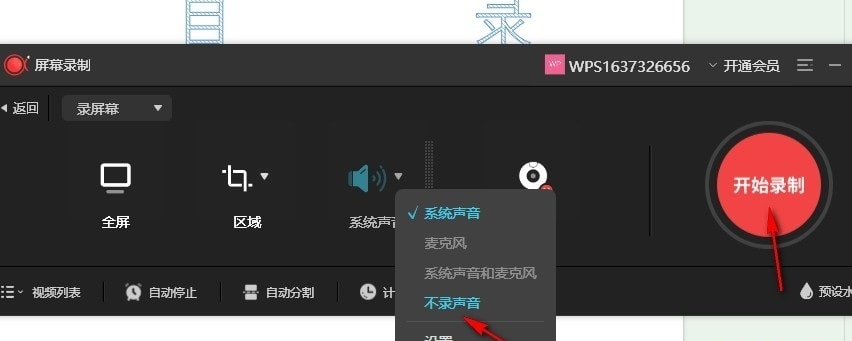 WPS幻灯片录屏如何不录声音 WPS幻灯片录屏设置不录声音的方法 第6张