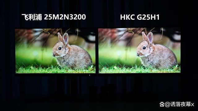 谁才是24英寸电竞显示器的扛把子? HKCG25H1和飞利浦25M2N3200对比测评 第36张