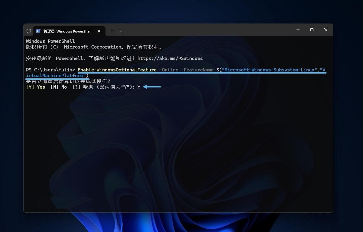 Win11怎么安装WSL 2? Win11中WSL 2 安装和管理指南 第4张