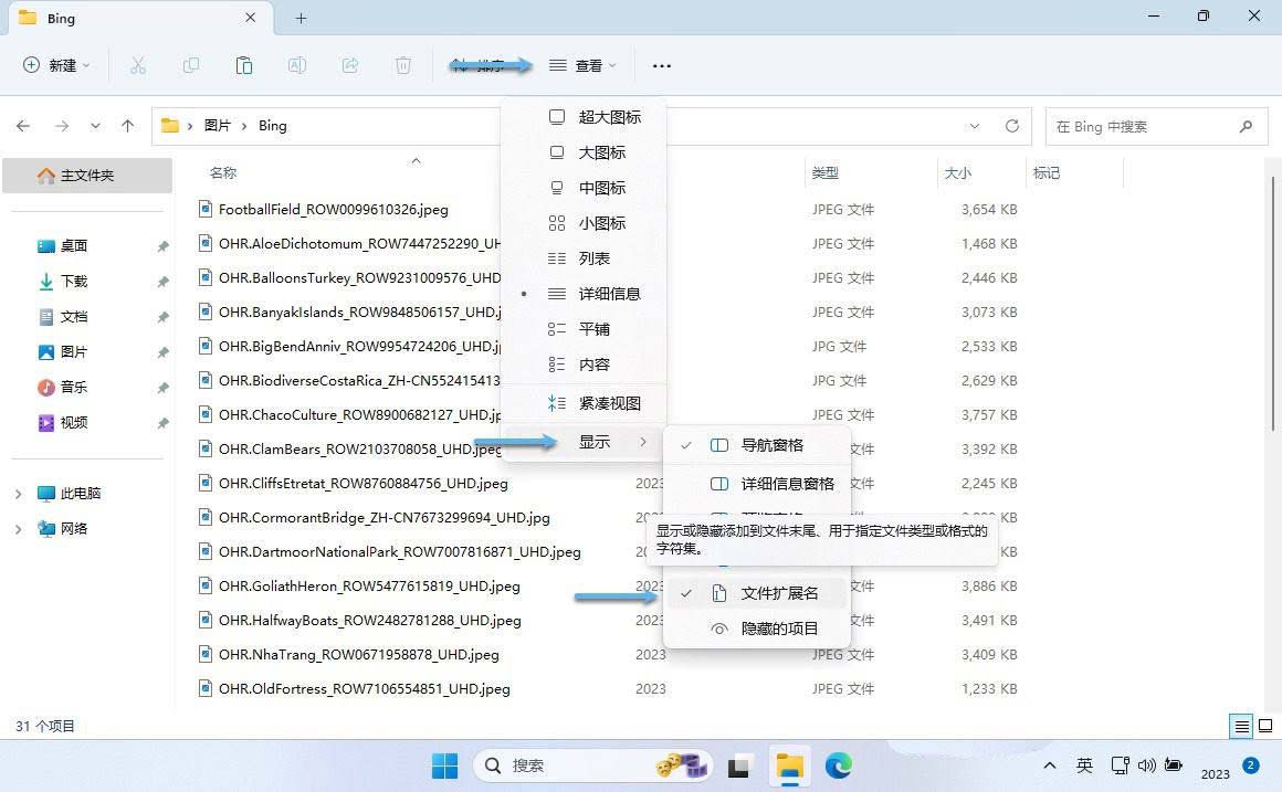 文件后缀名隐藏了怎么显示出来? 轻松显示Win11文件扩展名的三种方法 第2张