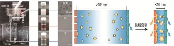 百年难题被攻克 一张神奇的膜成功实现水和油分离 第2张