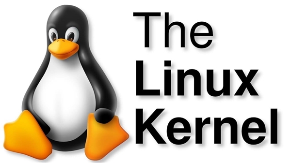 Linux开源翻车、RISC-V开放隐忧：中国自主科技的真正出路在哪儿 第5张