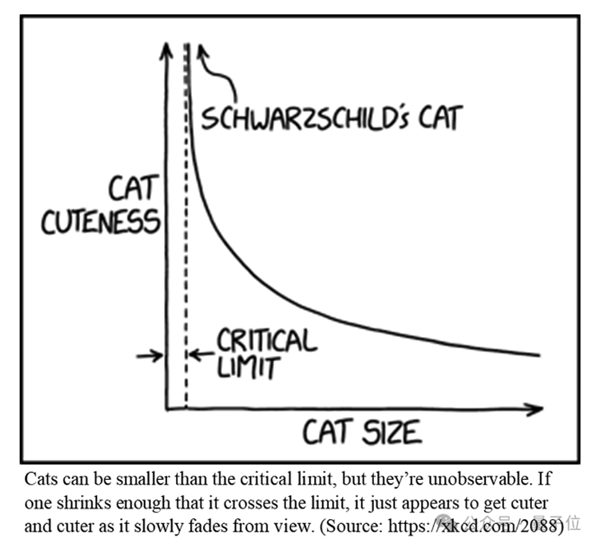 猫主子的运动方程 首次被物理学家破解！ 第3张