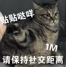 猫主子的运动方程 首次被物理学家破解！ 第11张