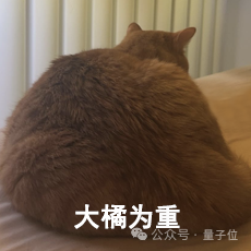 猫主子的运动方程 首次被物理学家破解！ 第14张