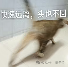 猫猫的运动方程：首次被物理学家破解了！ 第7张