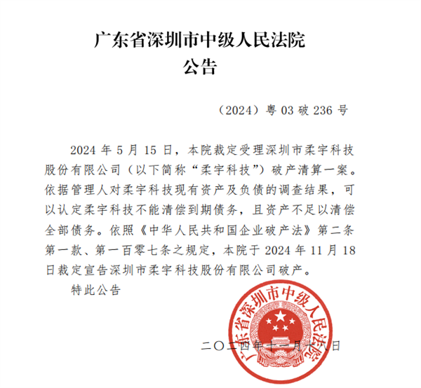 深圳中院裁定：柔宇科技破产 第2张