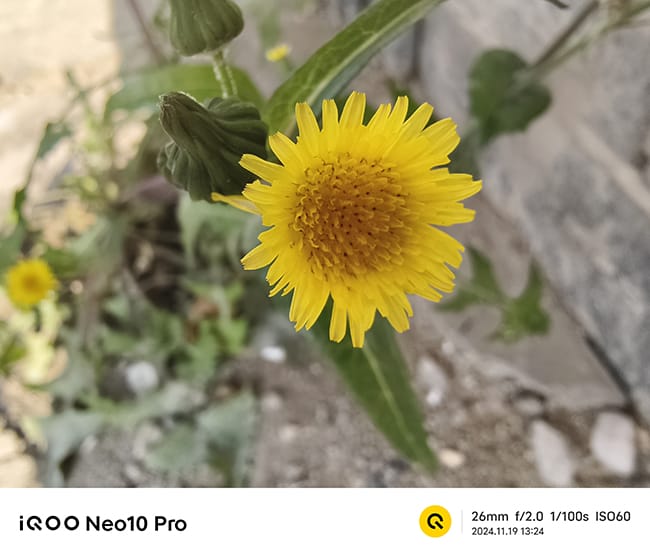 iQOO Neo10 Pro怎么样 Pro手机评测 第22张