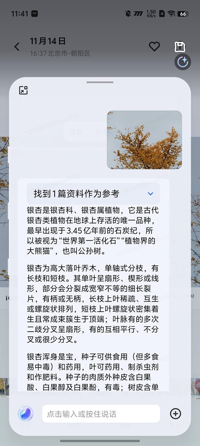 iQOO Neo10 Pro怎么样 Pro手机评测 第27张