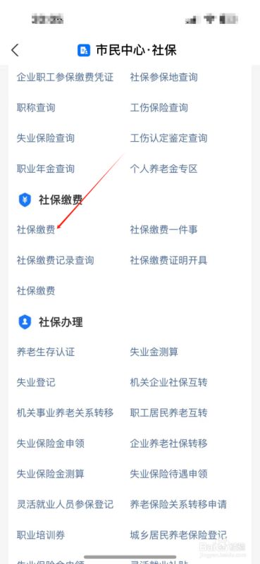 怎么用支付宝交农村合作医疗保险？支付宝医疗保险缴费步骤 第3张