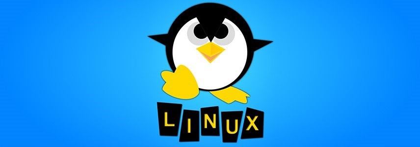 如何查看已安装的Linux内核? 命令行查看所有已安装Linux内核的技巧