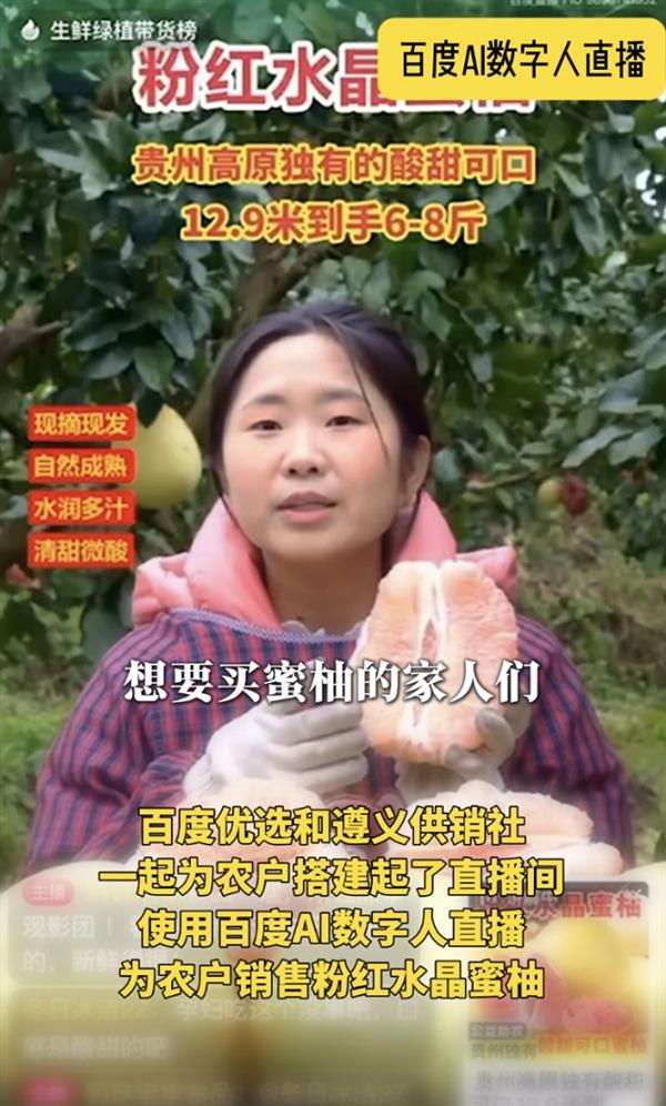 百万增收背后的秘密：看数字人直播如何解锁贵州农产品滞销难题